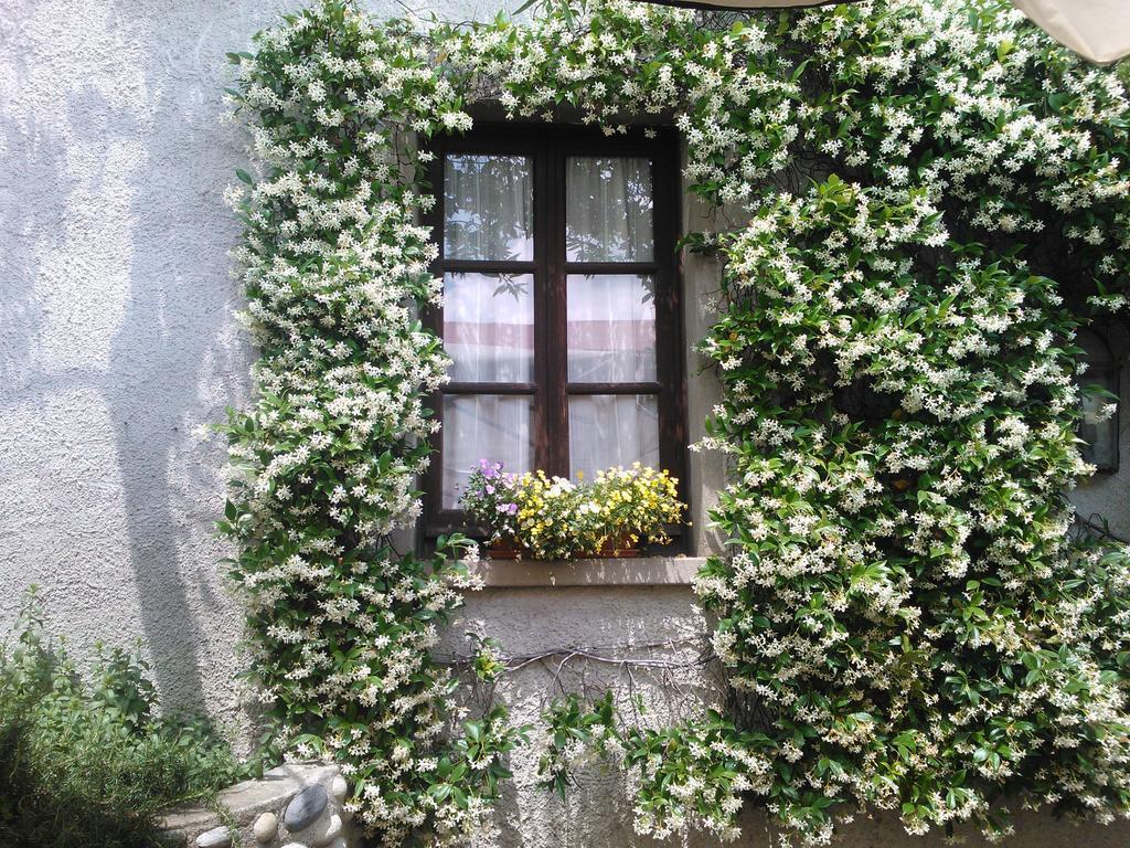 Agriturismo Cassinazza Orsenigo Номер фото