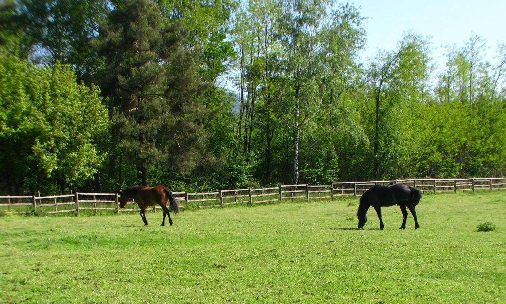 Agriturismo Cassinazza Orsenigo Экстерьер фото